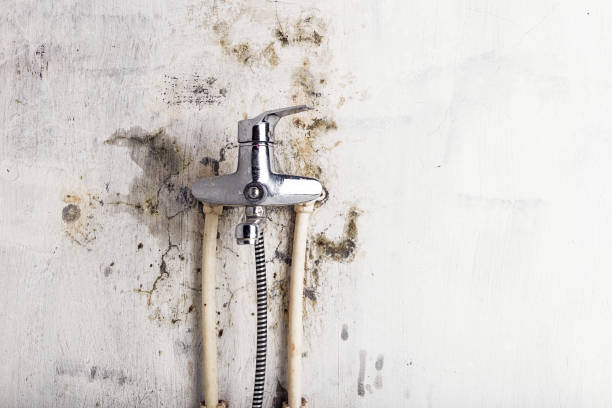 Best Water Damage Restoration  in Connelly Springs, NC